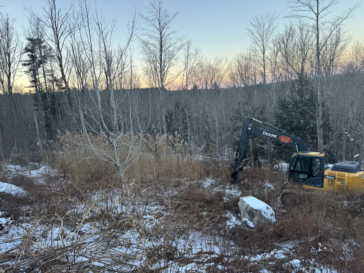Excavator working a wooded site in early winter snow